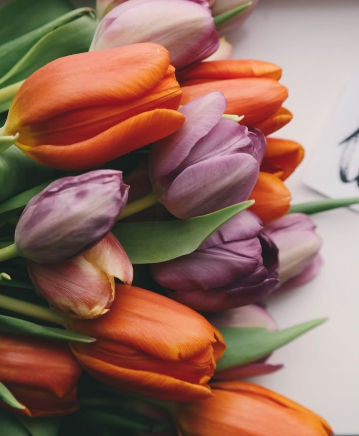 The Importance of Astrology in Long-Distance Relationships